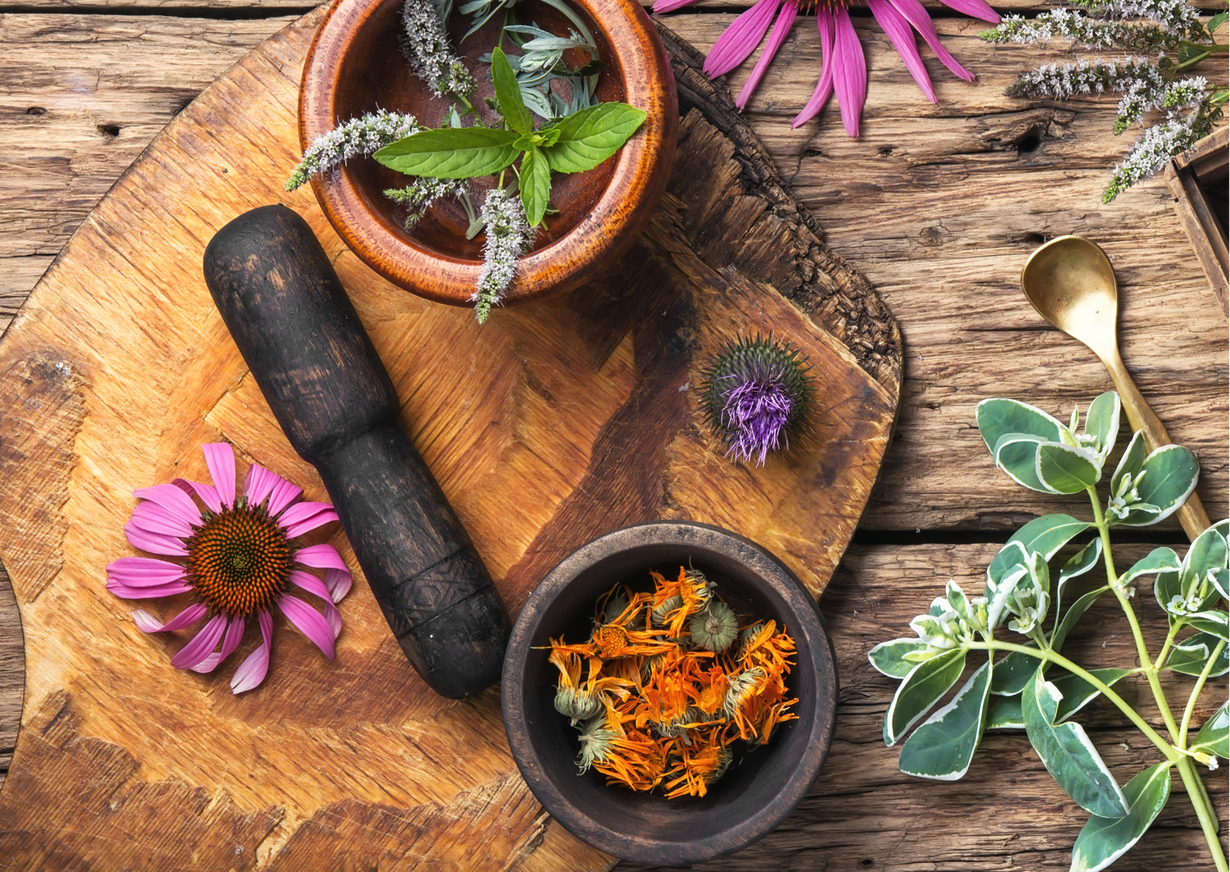 menopause and herbs